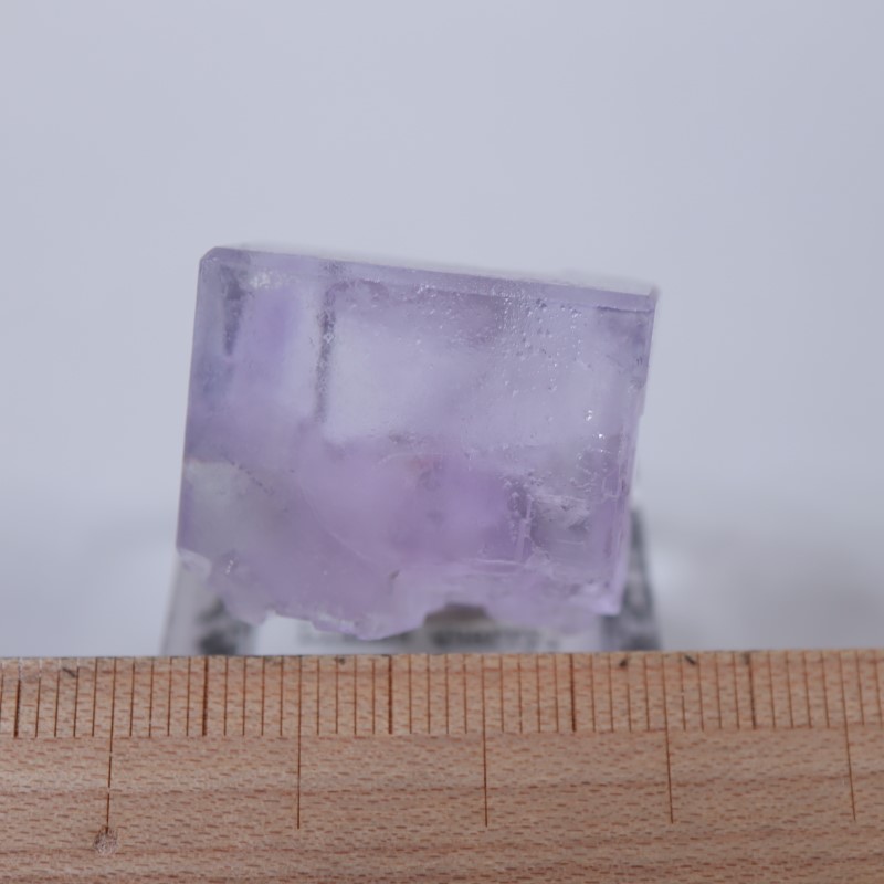 Llamas�����ե����饤��