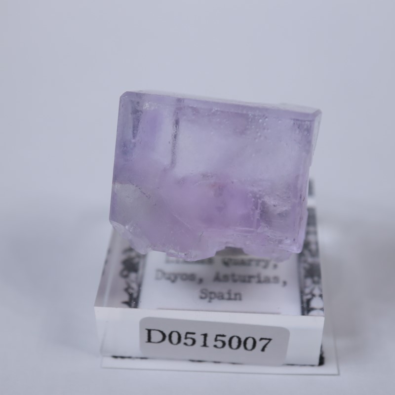 Llamas�����ե����饤��