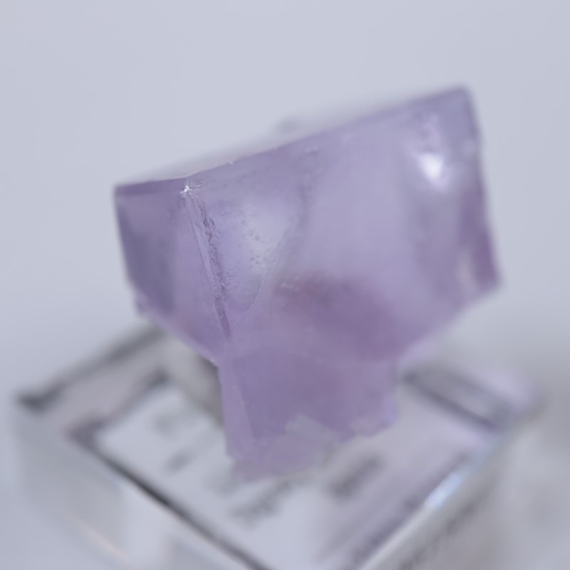 Llamas�����ե����饤��