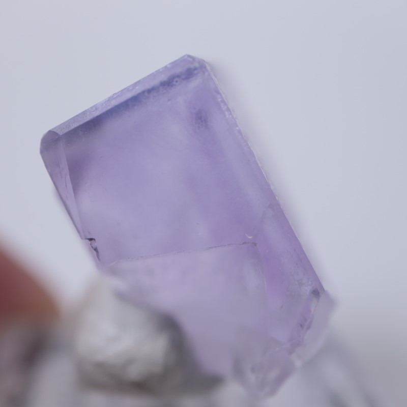 Llamas�����ե����饤��