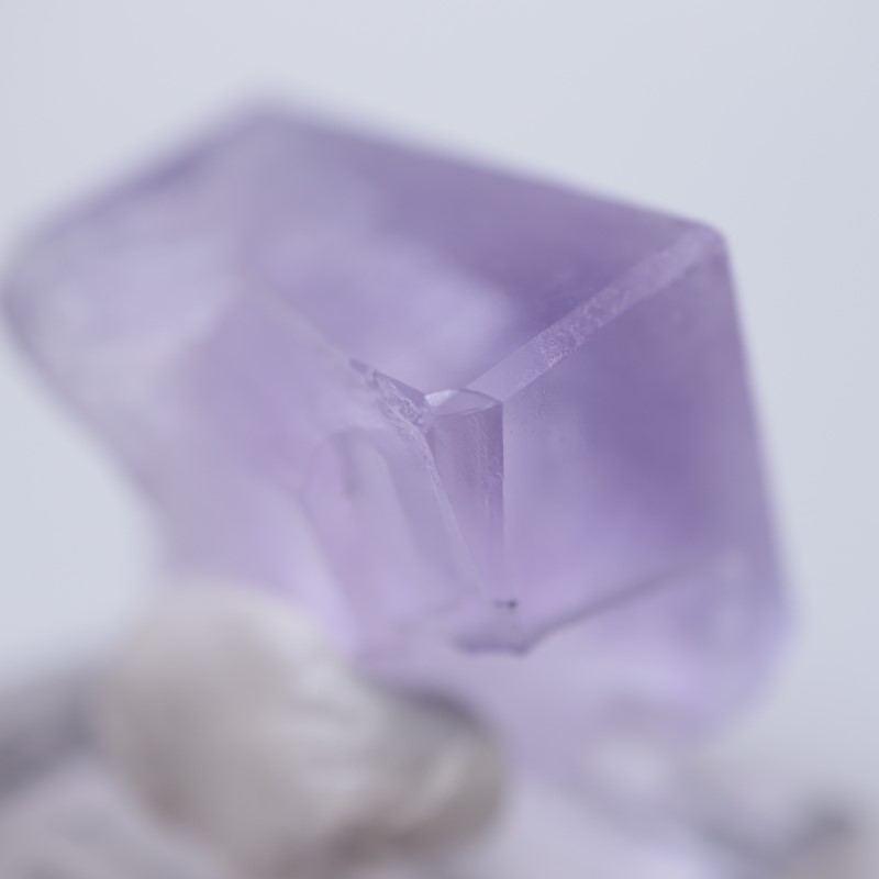 Llamas�����ե����饤��