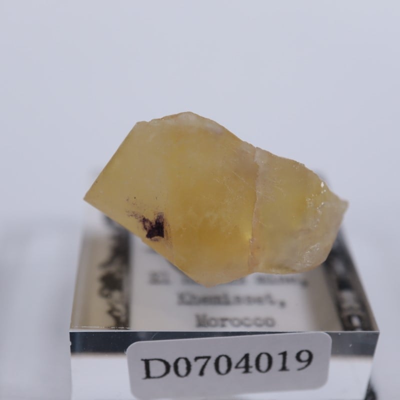 El Hammam�ۻ����ե����饤��