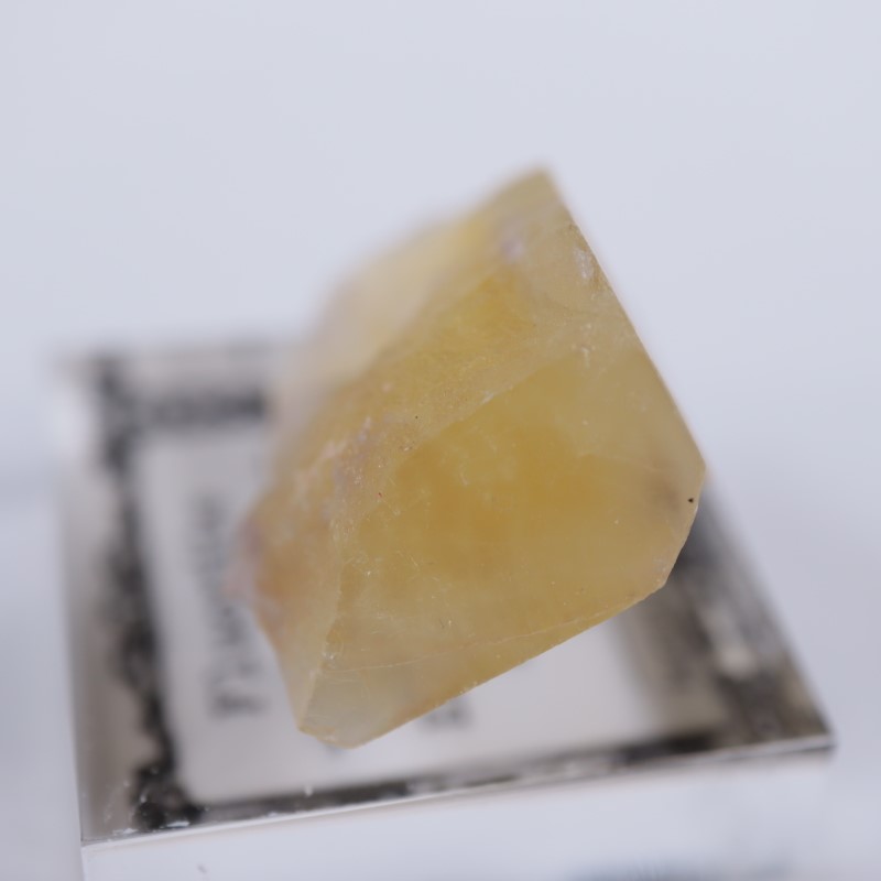 El Hammam�ۻ����ե����饤��