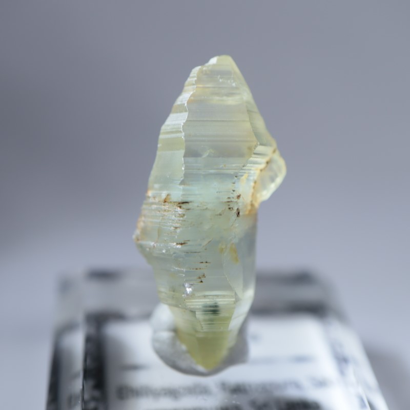 ��ȥ��ʥץ黺�����ե�����