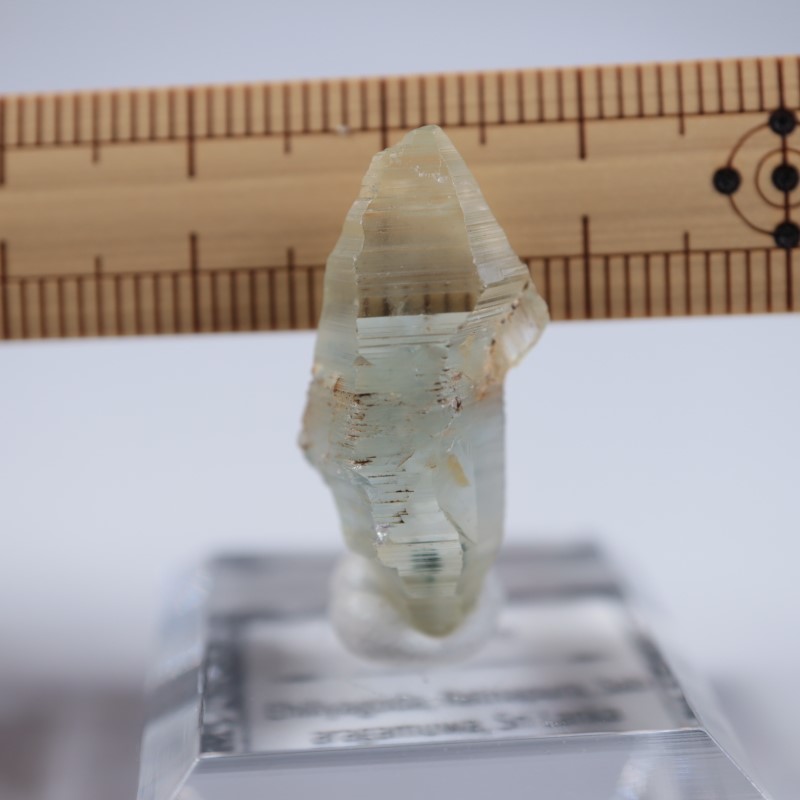 ��ȥ��ʥץ黺�����ե�����