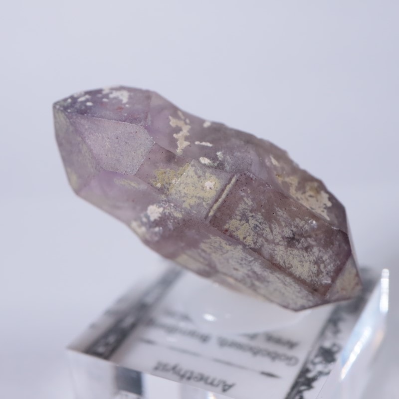 �֥��ɥС����������᥷����