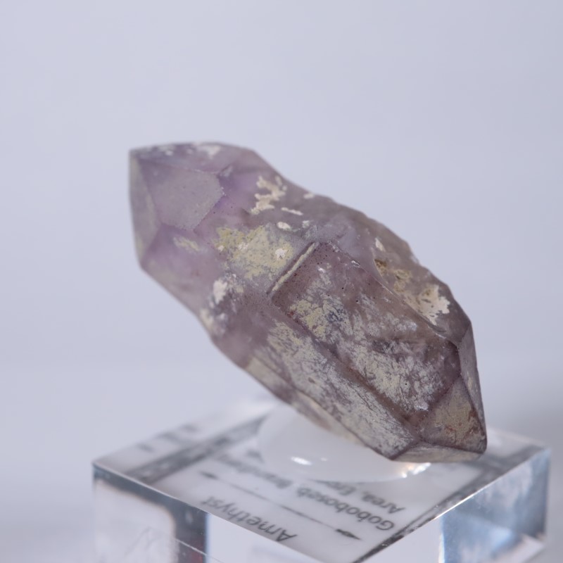 �֥��ɥС����������᥷����