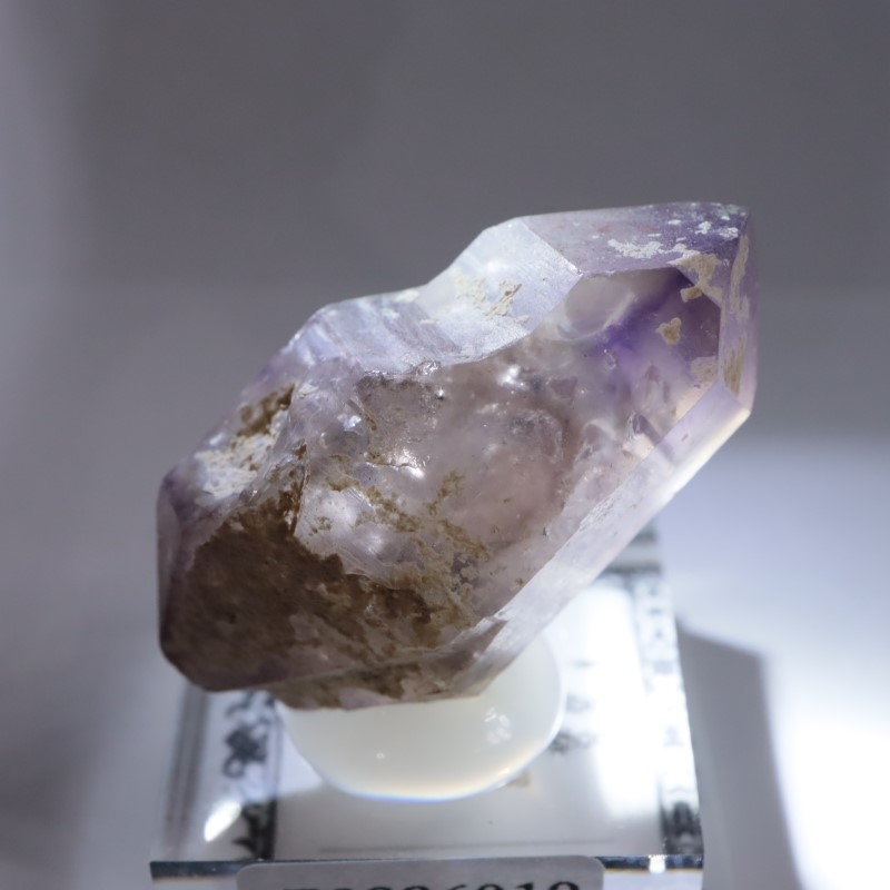 �֥��ɥС����������᥷����