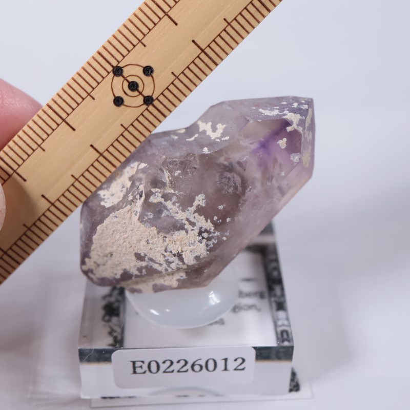 �֥��ɥС����������᥷����