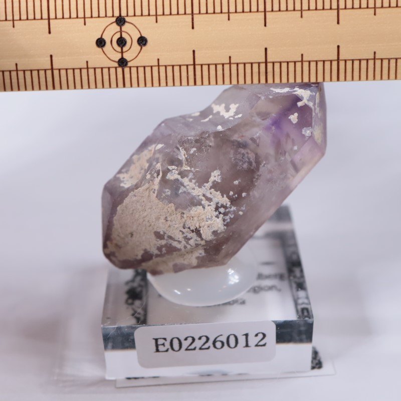 �֥��ɥС����������᥷����