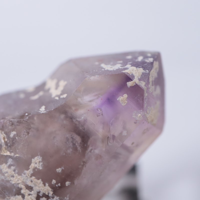 �֥��ɥС����������᥷����