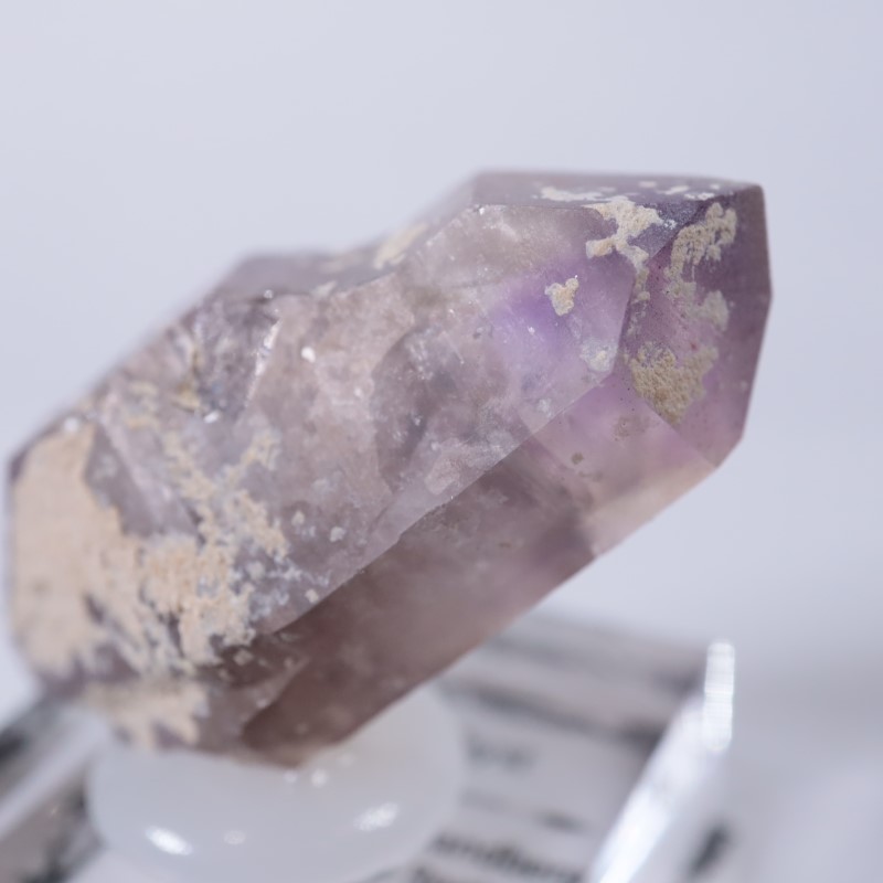 �֥��ɥС����������᥷����