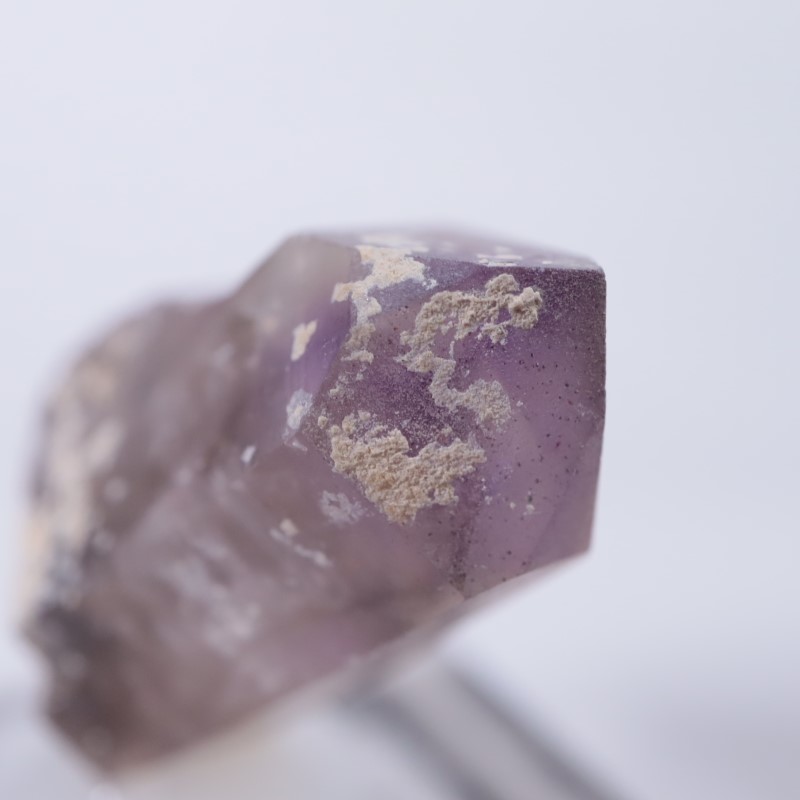 �֥��ɥС����������᥷����