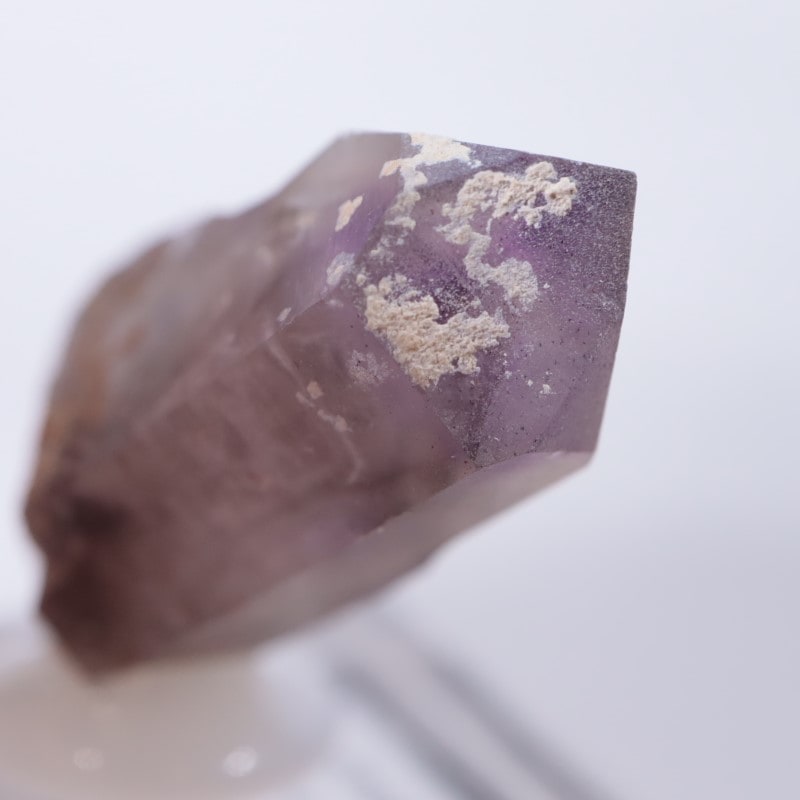 �֥��ɥС����������᥷����