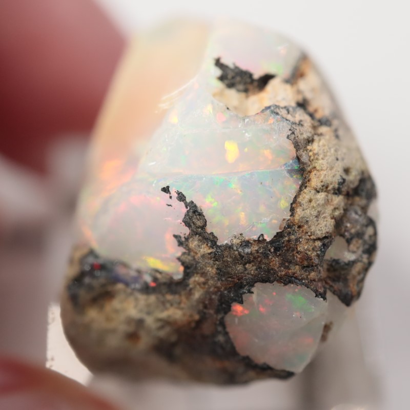 巨大エッグインオパール176.5ct/鉱物標本