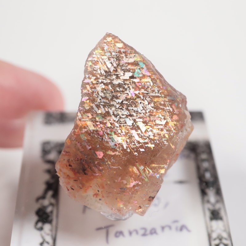 ���󥶥˥������쥤��ܡ���ƥ������󥹥ȡ���