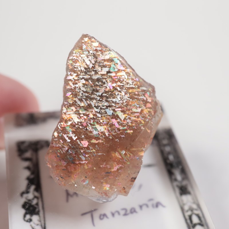 ���󥶥˥������쥤��ܡ���ƥ������󥹥ȡ���