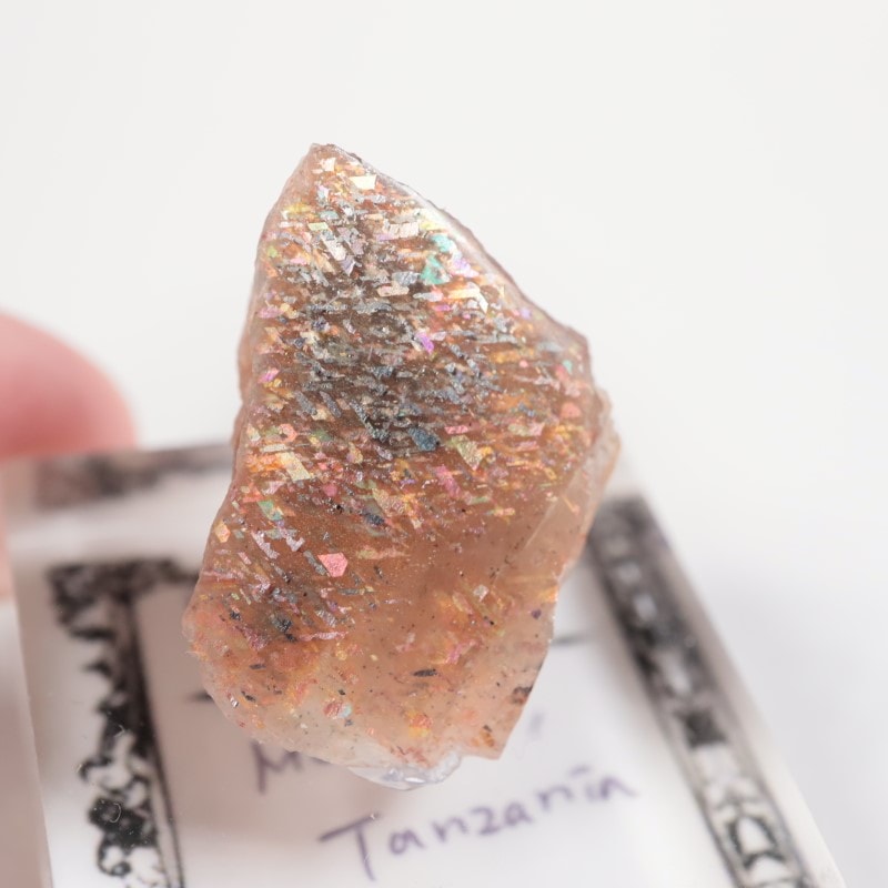 ���󥶥˥������쥤��ܡ���ƥ������󥹥ȡ���