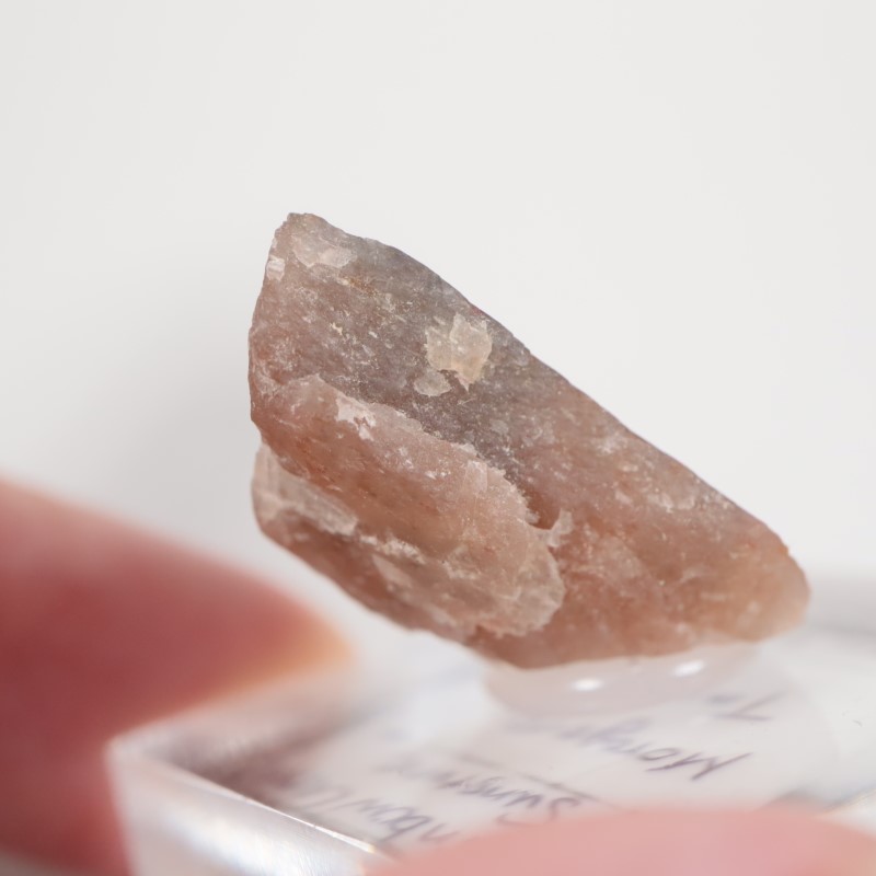 ���󥶥˥������쥤��ܡ���ƥ������󥹥ȡ���