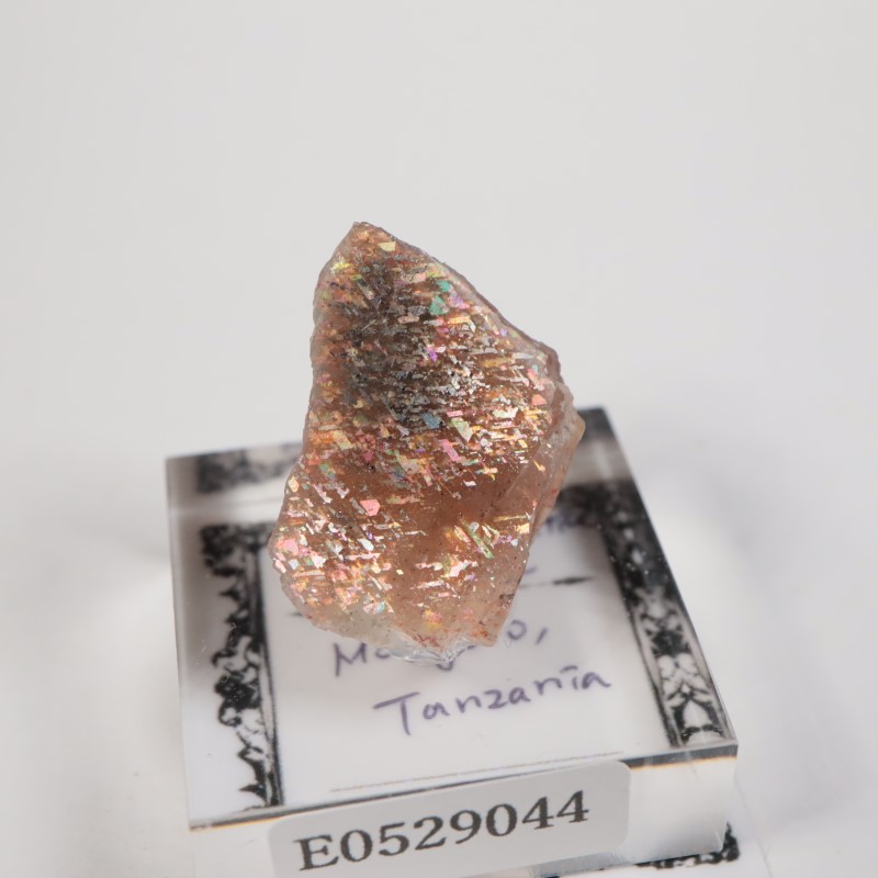 ���󥶥˥������쥤��ܡ���ƥ������󥹥ȡ���