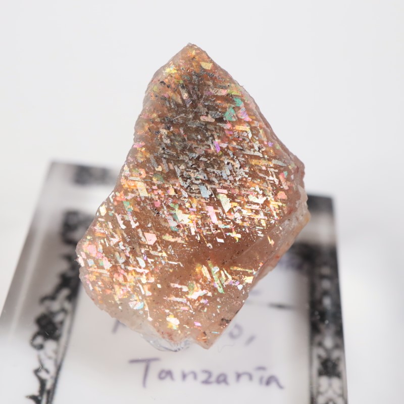 ���󥶥˥������쥤��ܡ���ƥ������󥹥ȡ���