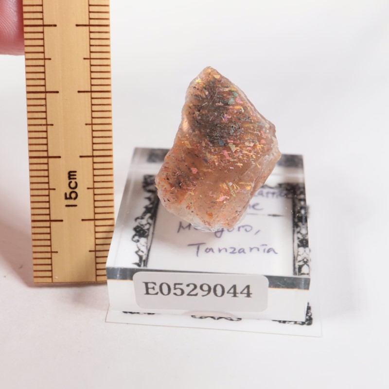 ���󥶥˥������쥤��ܡ���ƥ������󥹥ȡ���