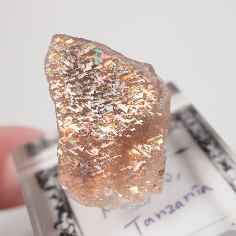 ���󥶥˥������쥤��ܡ���ƥ������󥹥ȡ���