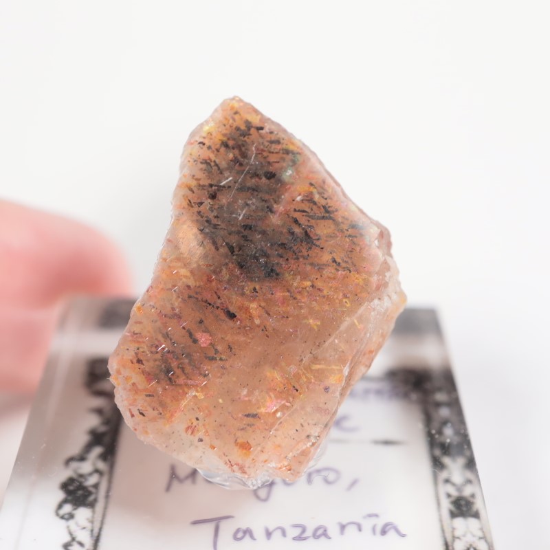 ���󥶥˥������쥤��ܡ���ƥ������󥹥ȡ���