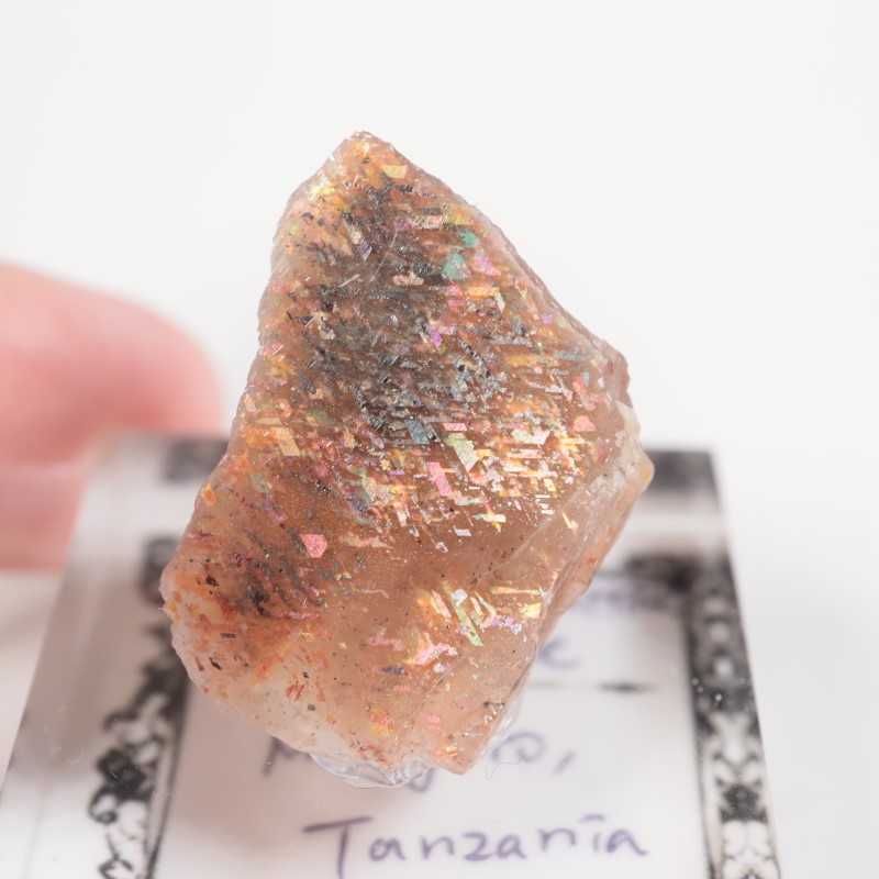 ���󥶥˥������쥤��ܡ���ƥ������󥹥ȡ���