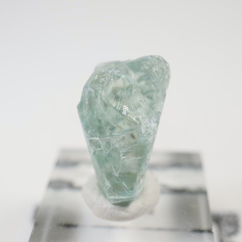 ���󥶥˥�����Ĺ��