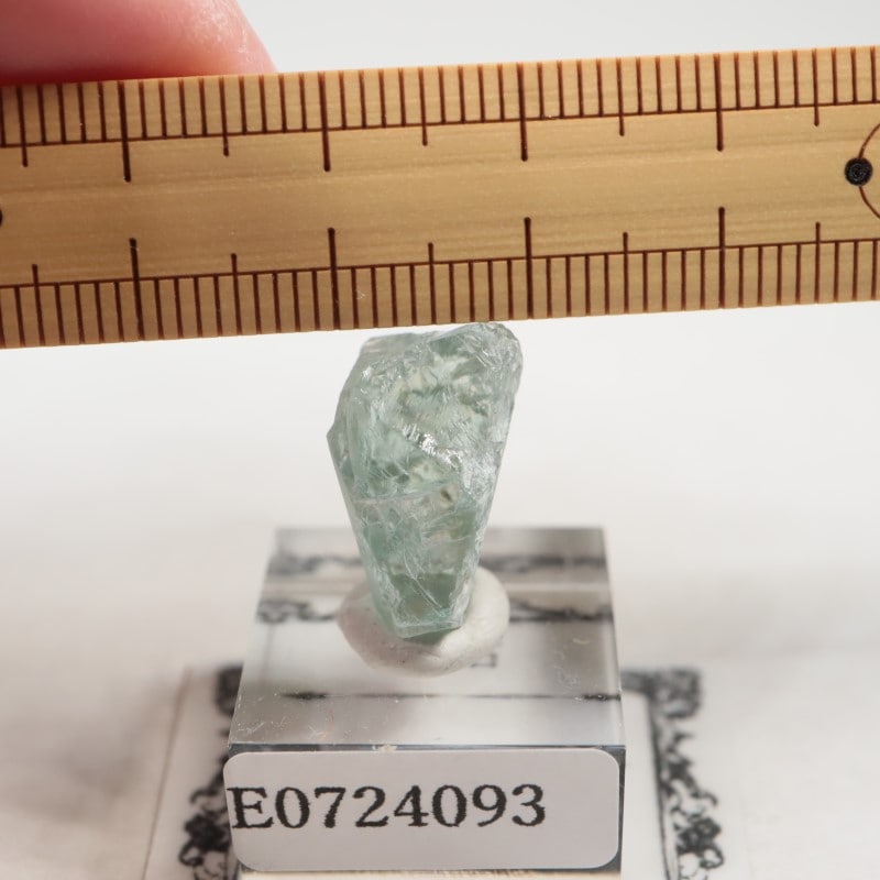 ���󥶥˥�����Ĺ��