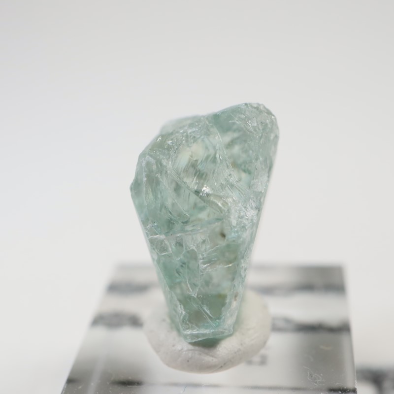 ���󥶥˥�����Ĺ��