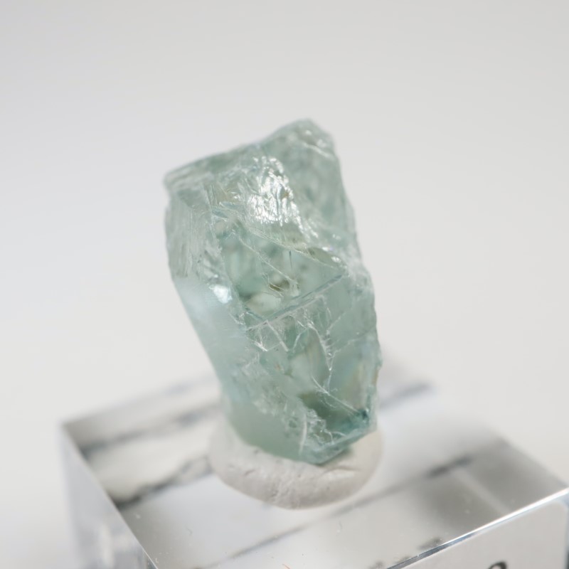 ���󥶥˥�����Ĺ��