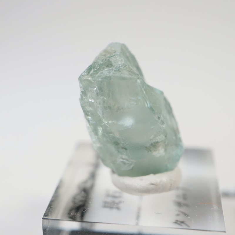 ���󥶥˥�����Ĺ��