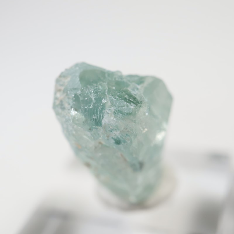 ���󥶥˥�����Ĺ��