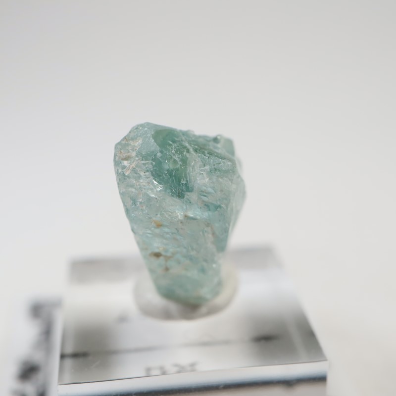 ���󥶥˥�����Ĺ��