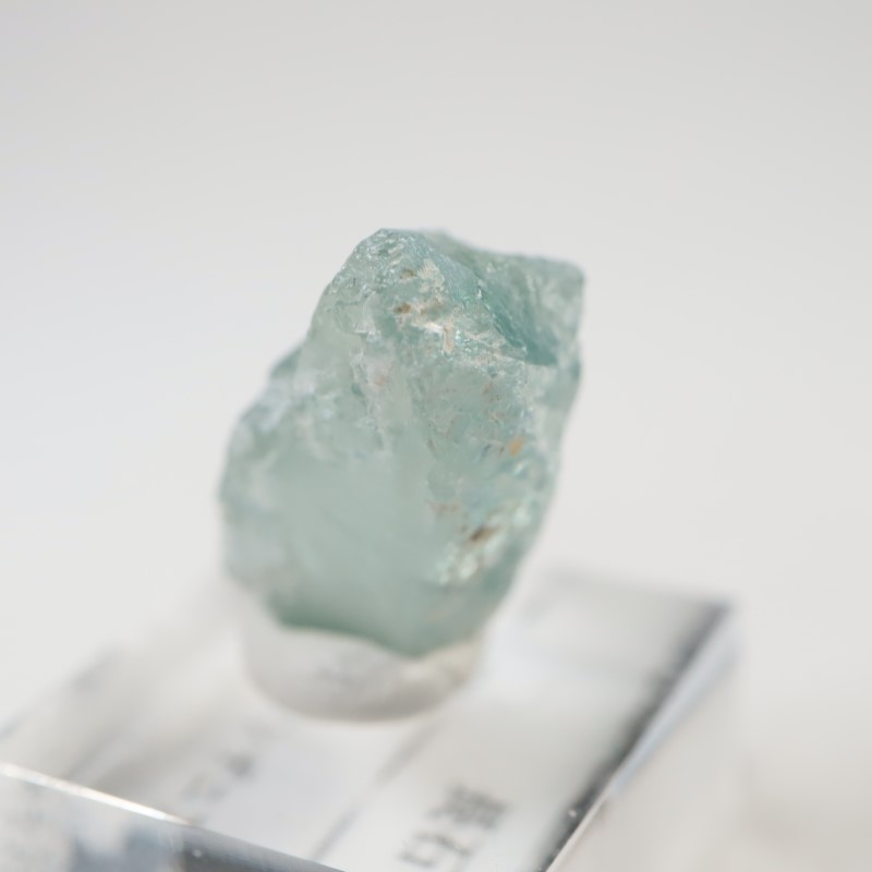 ���󥶥˥�����Ĺ��