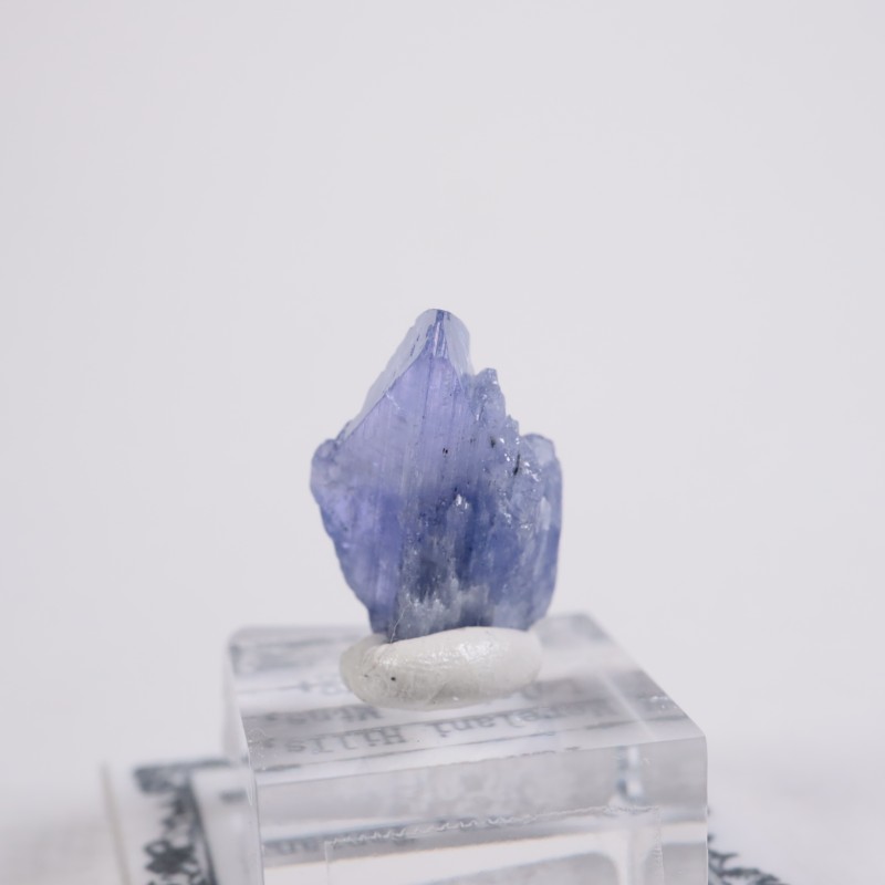 ����˥ҥ륺�� ���󥶥ʥ���