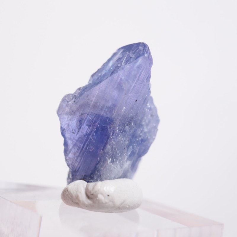 ����˥ҥ륺�� ���󥶥ʥ���