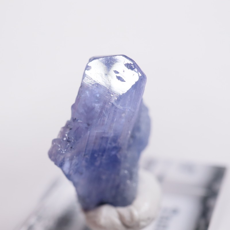 ����˥ҥ륺�� ���󥶥ʥ���