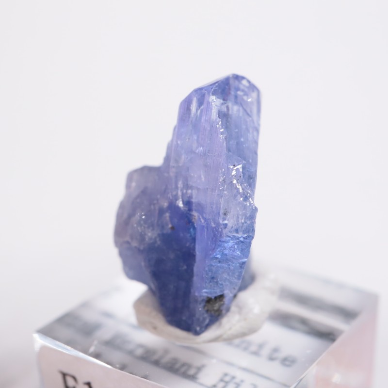 ����˥ҥ륺�� ���󥶥ʥ���