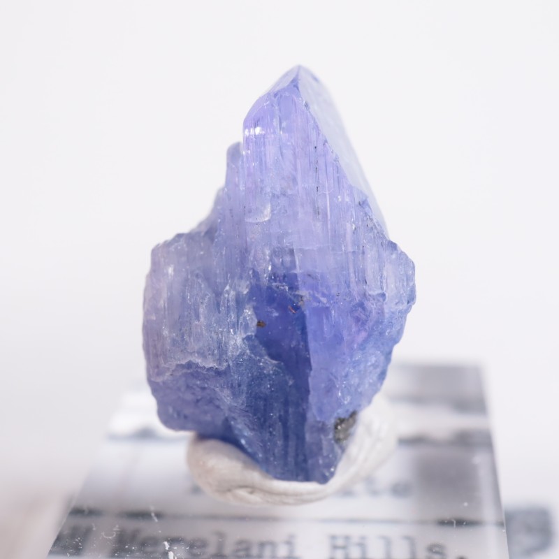 ����˥ҥ륺�� ���󥶥ʥ���