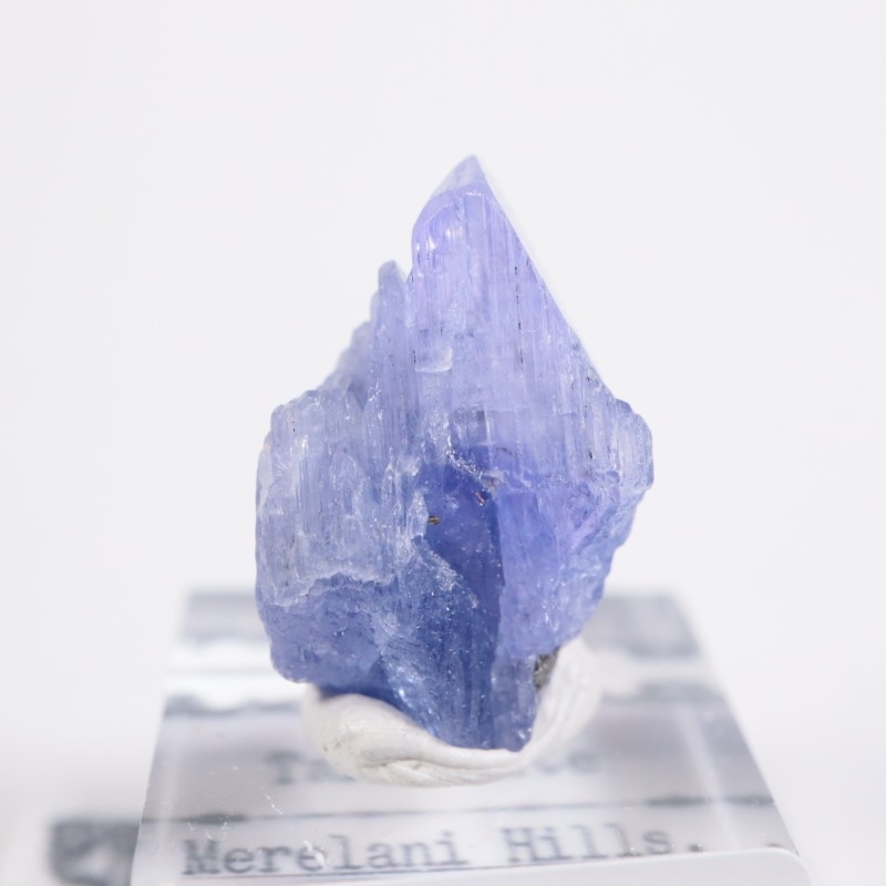 ����˥ҥ륺�� ���󥶥ʥ���