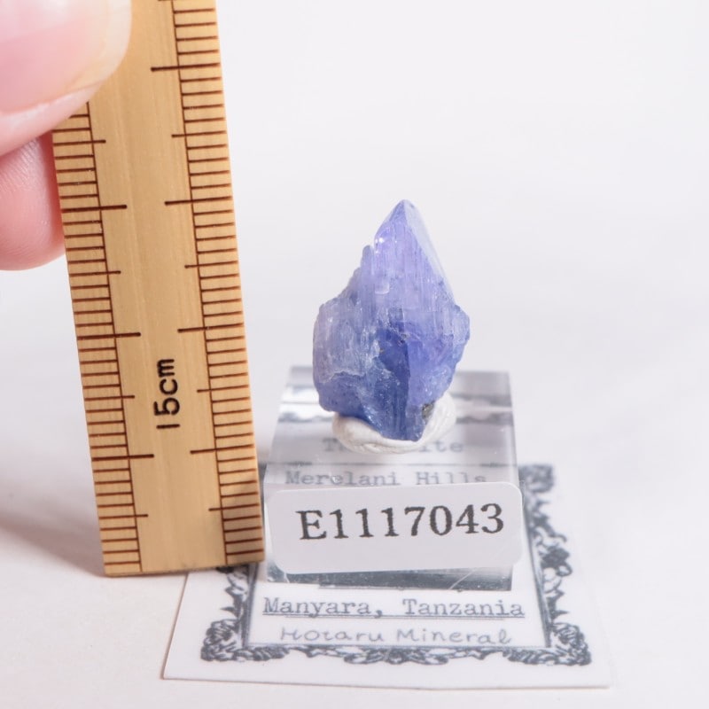 ����˥ҥ륺�� ���󥶥ʥ���