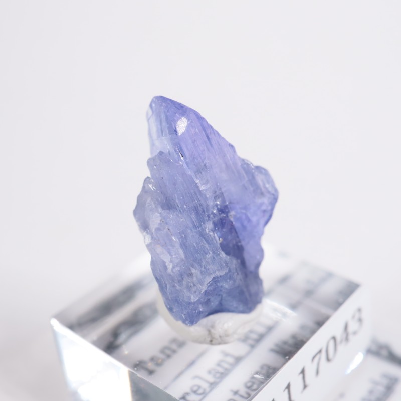 ����˥ҥ륺�� ���󥶥ʥ���