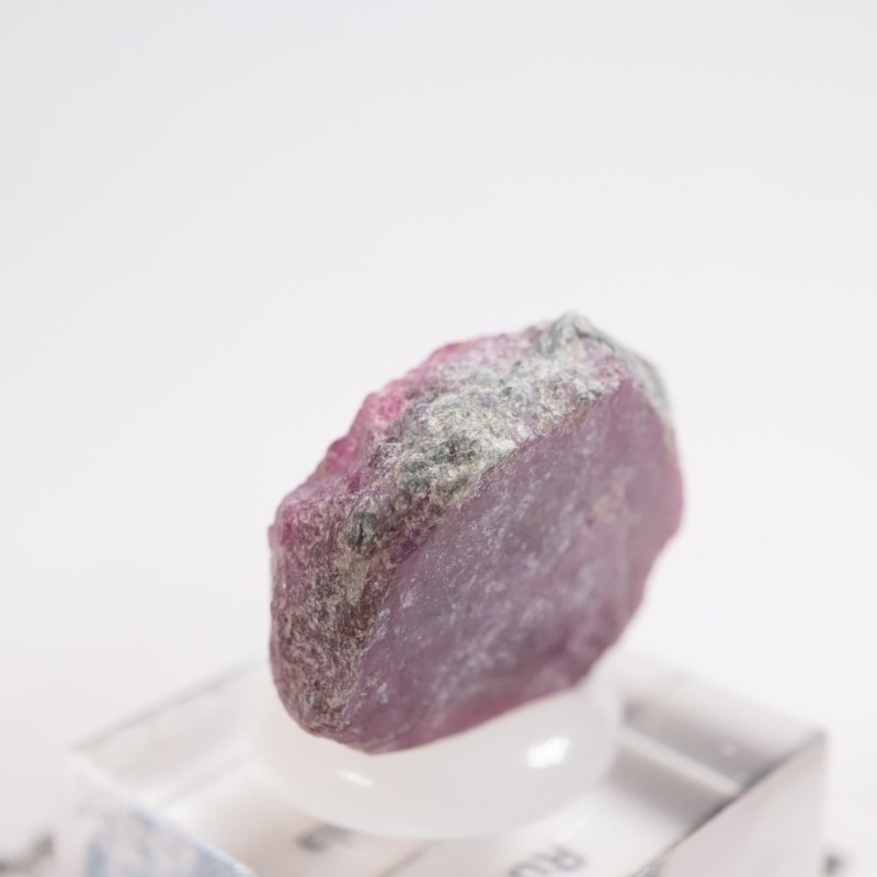 ���󥶥˥��� ��ӡ�