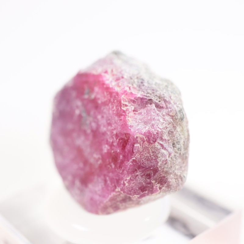 ���󥶥˥��� ��ӡ�