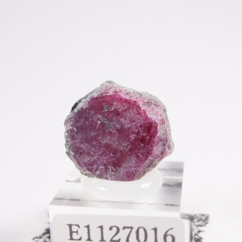 ���󥶥˥��� ��ӡ�