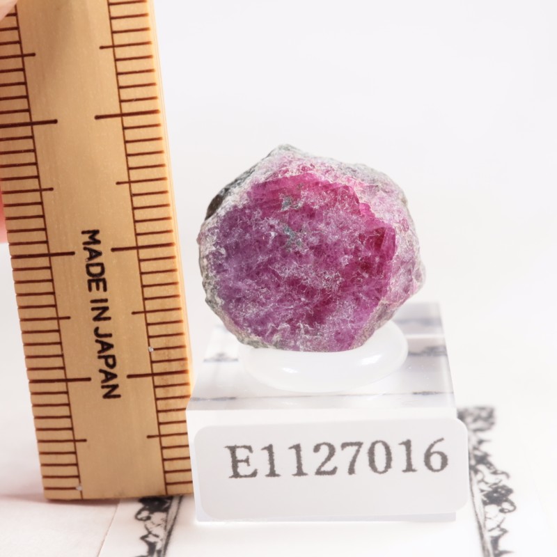 ���󥶥˥��� ��ӡ�