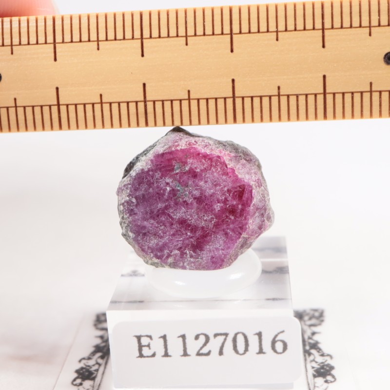 ���󥶥˥��� ��ӡ�